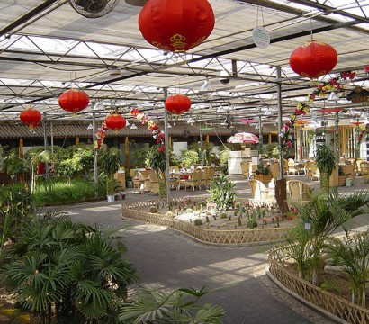 生態餐廳